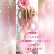ヒメ日記 2026/10/05 19:43 投稿 ラン 煌-kirameki-