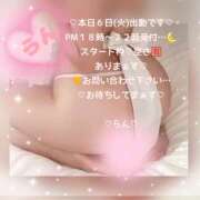 ヒメ日記 2026/10/06 13:16 投稿 ラン 煌-kirameki-