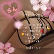 ヒメ日記 2026/10/07 13:45 投稿 ラン 煌-kirameki-
