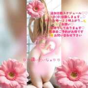 ヒメ日記 2026/10/09 17:04 投稿 ラン 煌-kirameki-