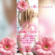 ヒメ日記 2026/10/10 17:10 投稿 ラン 煌-kirameki-