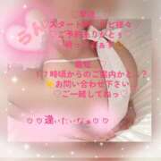 ヒメ日記 2026/10/11 12:36 投稿 ラン 煌-kirameki-