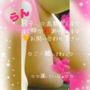 ヒメ日記 2026/10/11 18:56 投稿 ラン 煌-kirameki-