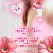 ヒメ日記 2026/10/11 21:08 投稿 ラン 煌-kirameki-