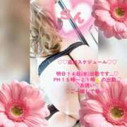 ヒメ日記 2026/10/13 16:29 投稿 ラン 煌-kirameki-
