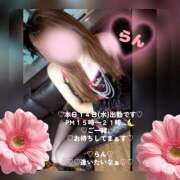 ヒメ日記 2026/10/14 11:29 投稿 ラン 煌-kirameki-