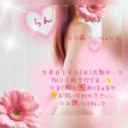ヒメ日記 2026/10/14 16:02 投稿 ラン 煌-kirameki-