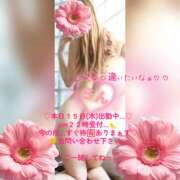 ヒメ日記 2026/10/15 18:43 投稿 ラン 煌-kirameki-
