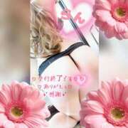 ヒメ日記 2026/10/15 21:01 投稿 ラン 煌-kirameki-