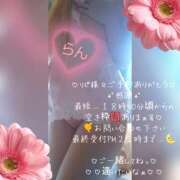 ヒメ日記 2026/10/17 17:16 投稿 ラン 煌-kirameki-