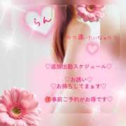 ヒメ日記 2026/10/19 10:31 投稿 ラン 煌-kirameki-