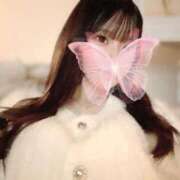 ヒメ日記 2025/11/17 17:55 投稿 ひめ スパーク梅田店