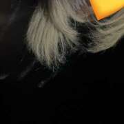 ヒメ日記 2025/12/28 18:25 投稿 れいる あるまぎ！