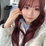 ヒメ日記 2025/08/12 09:27 投稿 せり 推しの娘