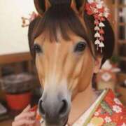 たまき 🎍謹賀新年✨ 山梨デリヘル 人妻物語 ～極～