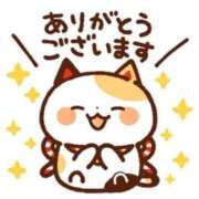 ヒメ日記 2026/02/14 10:38 投稿 りん 千姫(道後)