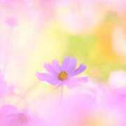 ヒメ日記 2025/09/05 20:02 投稿 篠田 まや 川崎南町人妻高級ソープ エル・カーヒル(ELCURHIL)秘密の刻