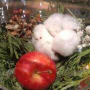 ヒメ日記 2026/02/18 18:02 投稿 篠田 まや 川崎南町人妻高級ソープ エル・カーヒル(ELCURHIL)秘密の刻