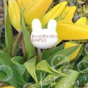 ヒメ日記 2026/02/19 21:02 投稿 篠田 まや 川崎南町人妻高級ソープ エル・カーヒル(ELCURHIL)秘密の刻