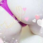 ヒメ日記 2026/03/05 13:00 投稿 篠田 まや 川崎南町人妻高級ソープ エル・カーヒル(ELCURHIL)秘密の刻