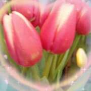 ヒメ日記 2026/03/11 19:10 投稿 篠田 まや 川崎南町人妻高級ソープ エル・カーヒル(ELCURHIL)秘密の刻