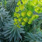 篠田 まや Y様へお礼です 川崎南町人妻高級ソープ エル・カーヒル(ELCURHIL)秘密の刻