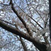 ヒメ日記 2026/04/06 21:02 投稿 篠田 まや 川崎南町人妻高級ソープ エル・カーヒル(ELCURHIL)秘密の刻