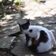 ヒメ日記 2025/07/23 22:07 投稿 美奈/みな 贅沢なひと時