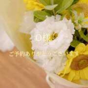 ヒメ日記 2025/08/14 21:32 投稿 美奈/みな 贅沢なひと時