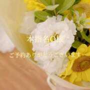 ヒメ日記 2025/08/26 19:08 投稿 美奈/みな 贅沢なひと時