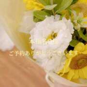 ヒメ日記 2025/09/01 17:36 投稿 美奈/みな 贅沢なひと時