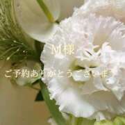 ヒメ日記 2025/09/16 00:48 投稿 美奈/みな 贅沢なひと時