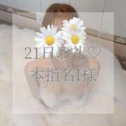 ヒメ日記 2026/01/25 12:10 投稿 美奈/みな 贅沢なひと時