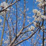 ヒメ日記 2026/02/24 21:08 投稿 美奈/みな 贅沢なひと時