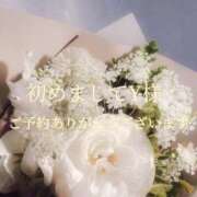 ヒメ日記 2026/03/03 17:33 投稿 美奈/みな 贅沢なひと時