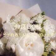 ヒメ日記 2026/04/06 20:42 投稿 美奈/みな 贅沢なひと時