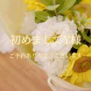 ヒメ日記 2026/04/30 07:36 投稿 美奈/みな 贅沢なひと時
