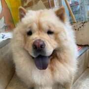 ヒメ日記 2025/10/11 13:11 投稿 はな ぷるるん小町日本橋店