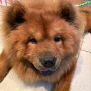 ヒメ日記 2025/10/18 13:15 投稿 はな ぷるるん小町日本橋店