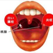 ヒメ日記 2026/01/23 12:11 投稿 はな ぷるるん小町日本橋店