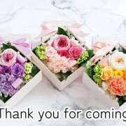 ヒメ日記 2025/10/29 04:46 投稿 佐山希空（さやまのあ） 五十路マダムエクスプレス厚木店(カサブランカグループ)