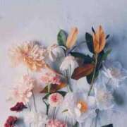 ヒメ日記 2025/09/08 18:41 投稿 凛花(りんか) グランドオペラ福岡