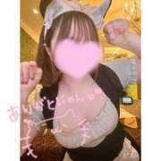 ヒメ日記 2025/07/27 16:23 投稿 ふうか☆STANDARD Ribbon 1st