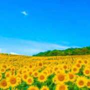 ヒメ日記 2025/08/13 13:37 投稿 香帆 出会い系人妻ネットワーク 新宿〜池袋編