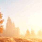 ヒメ日記 2025/11/08 13:28 投稿 香帆 出会い系人妻ネットワーク 新宿〜池袋編