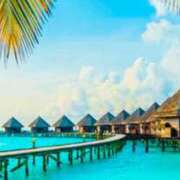 ヒメ日記 2025/11/15 12:31 投稿 香帆 出会い系人妻ネットワーク 新宿〜池袋編