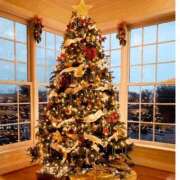 香帆 本日 出会い系人妻ネットワーク 新宿〜池袋編