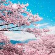 ヒメ日記 2026/03/07 16:32 投稿 香帆 出会い系人妻ネットワーク 新宿〜池袋編