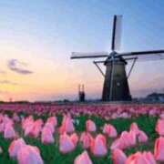 ヒメ日記 2026/03/15 17:20 投稿 香帆 出会い系人妻ネットワーク 新宿〜池袋編