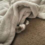 ヒメ日記 2025/11/14 12:01 投稿 むぎ 素人系イメージSOAP彼女感大宮館